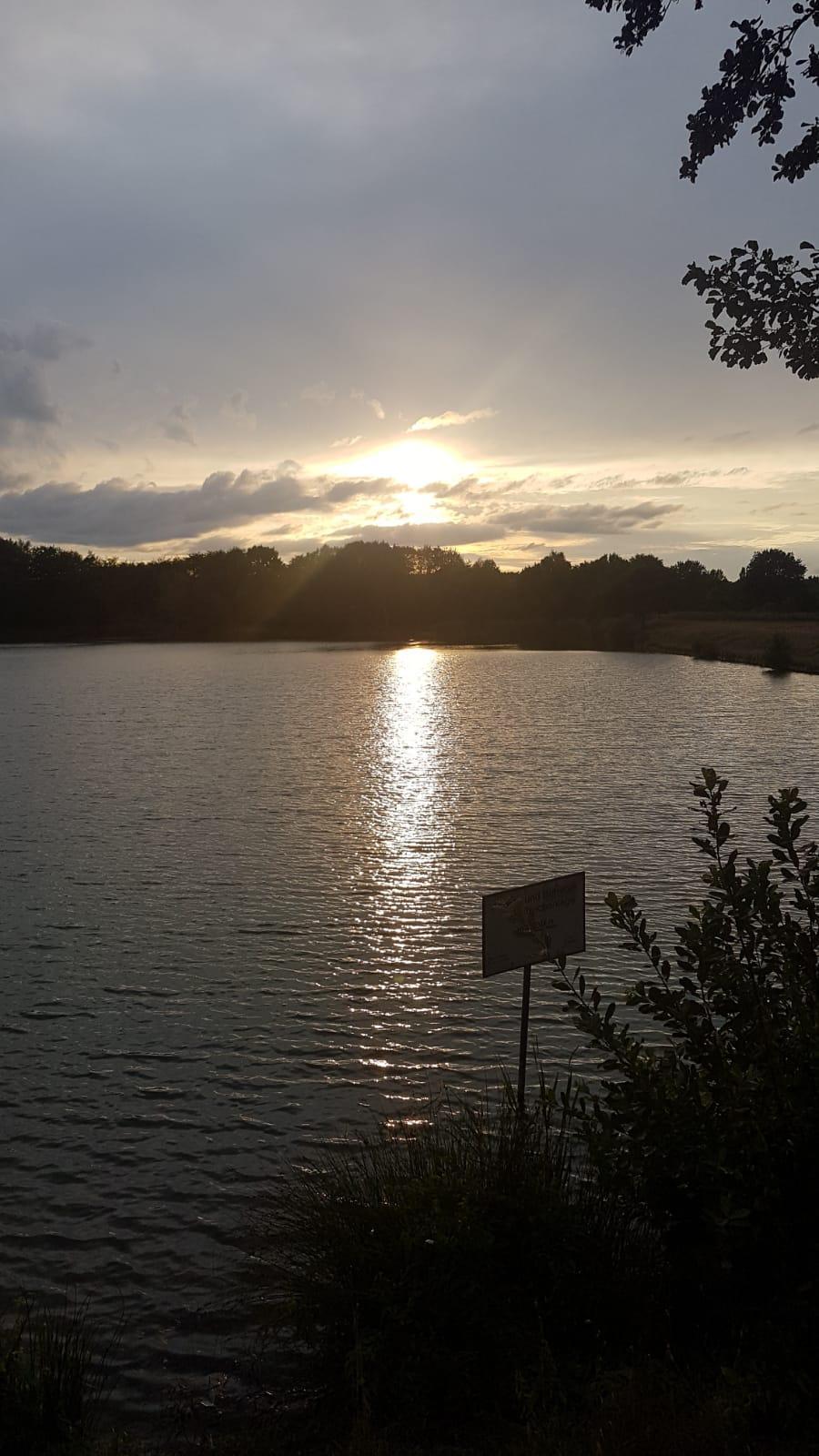 IMG-20190206-WA0010